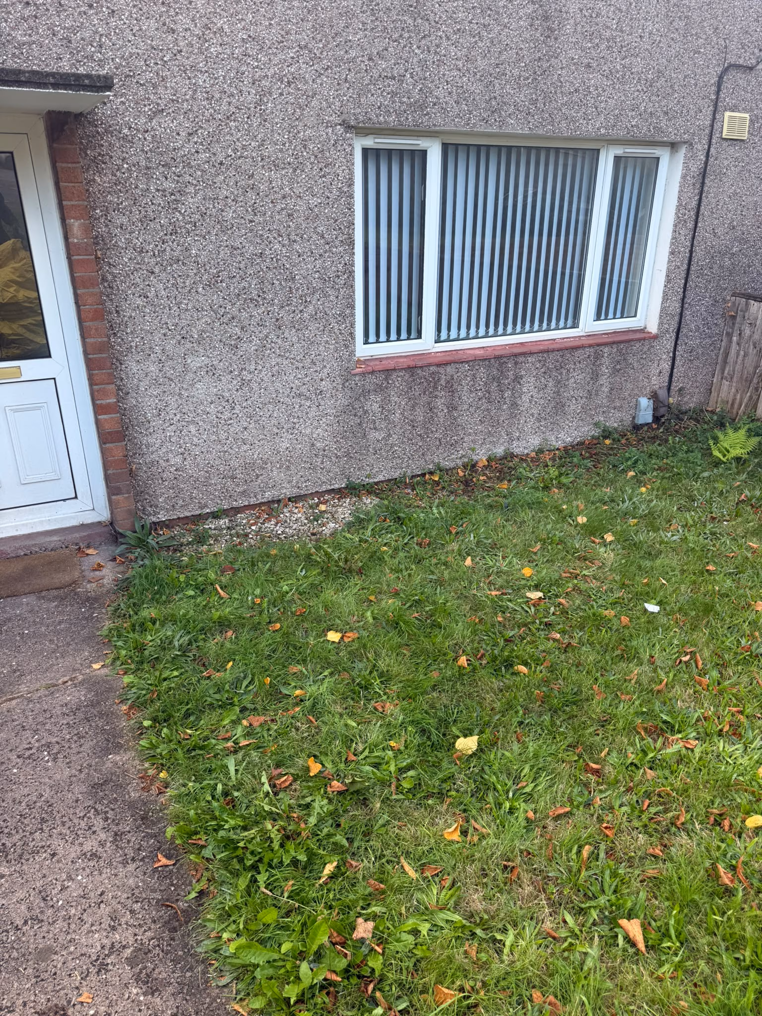 After: bagged rubbish and furniture removed from a lawn